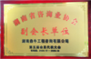 湖南省咨询业协会副会长单位